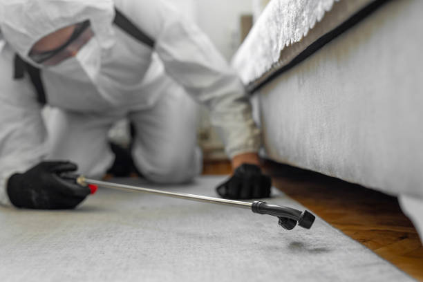 Professional Bed Bug Control technician working in Brookhaven, GA